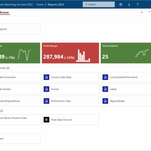 SQL-Server Reporting Services